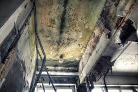 Best Air Quality Testing for Mold Spores in Trenton, GA